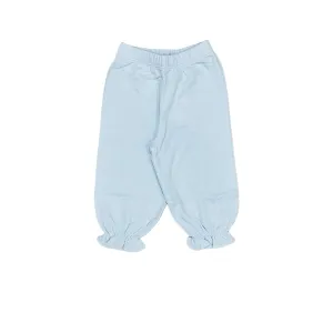 Baby Blue Strp Bloom G 24