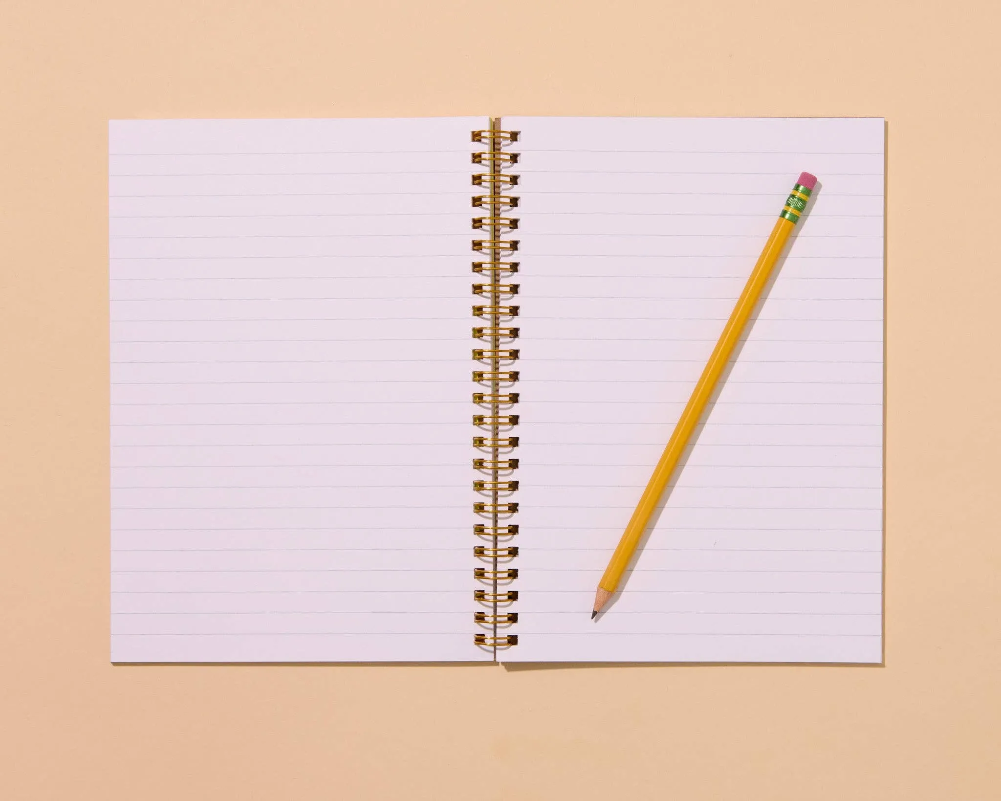Hot Dogs Letterpress Spiral Notebook