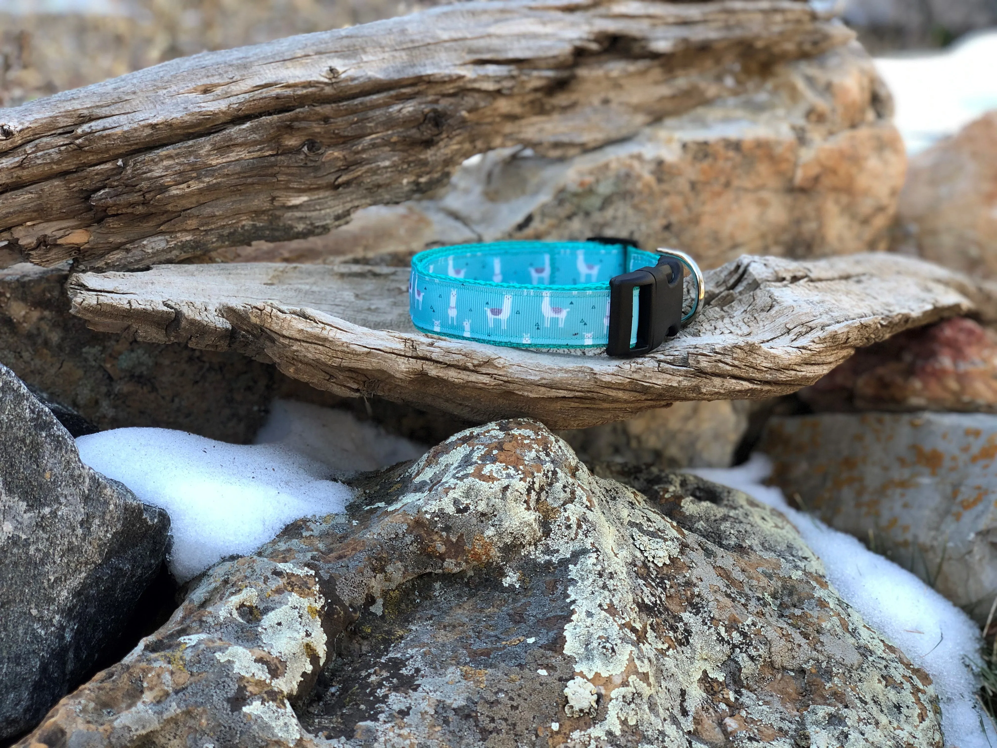 Llama Dog Collar