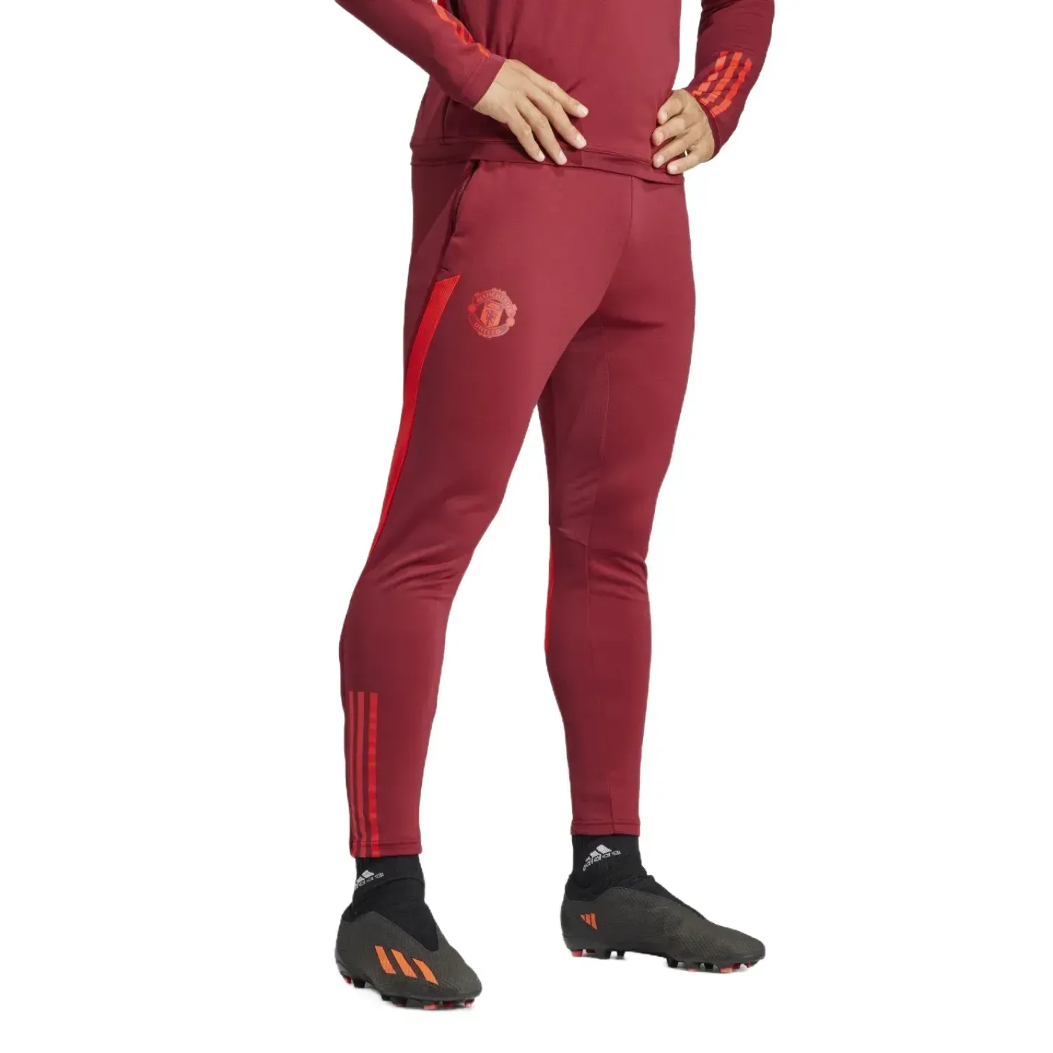 Manchester United UCL training technical Soccer tracksuit 2023/24 - Adidas