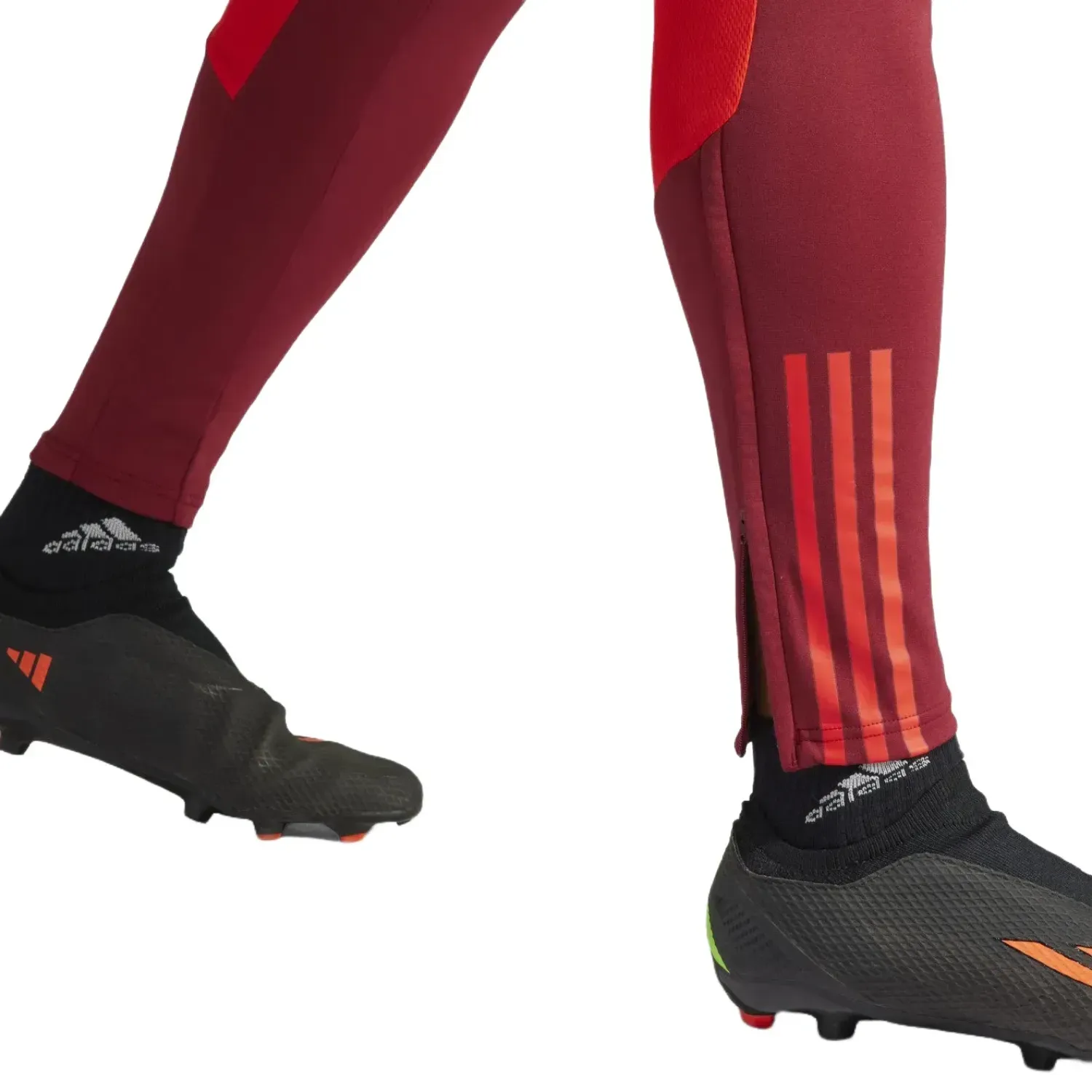 Manchester United UCL training technical Soccer tracksuit 2023/24 - Adidas