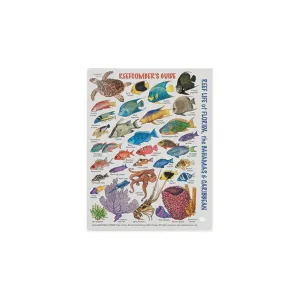 Marine Sports Mini Fish ID Reefcombers Pocket Guide