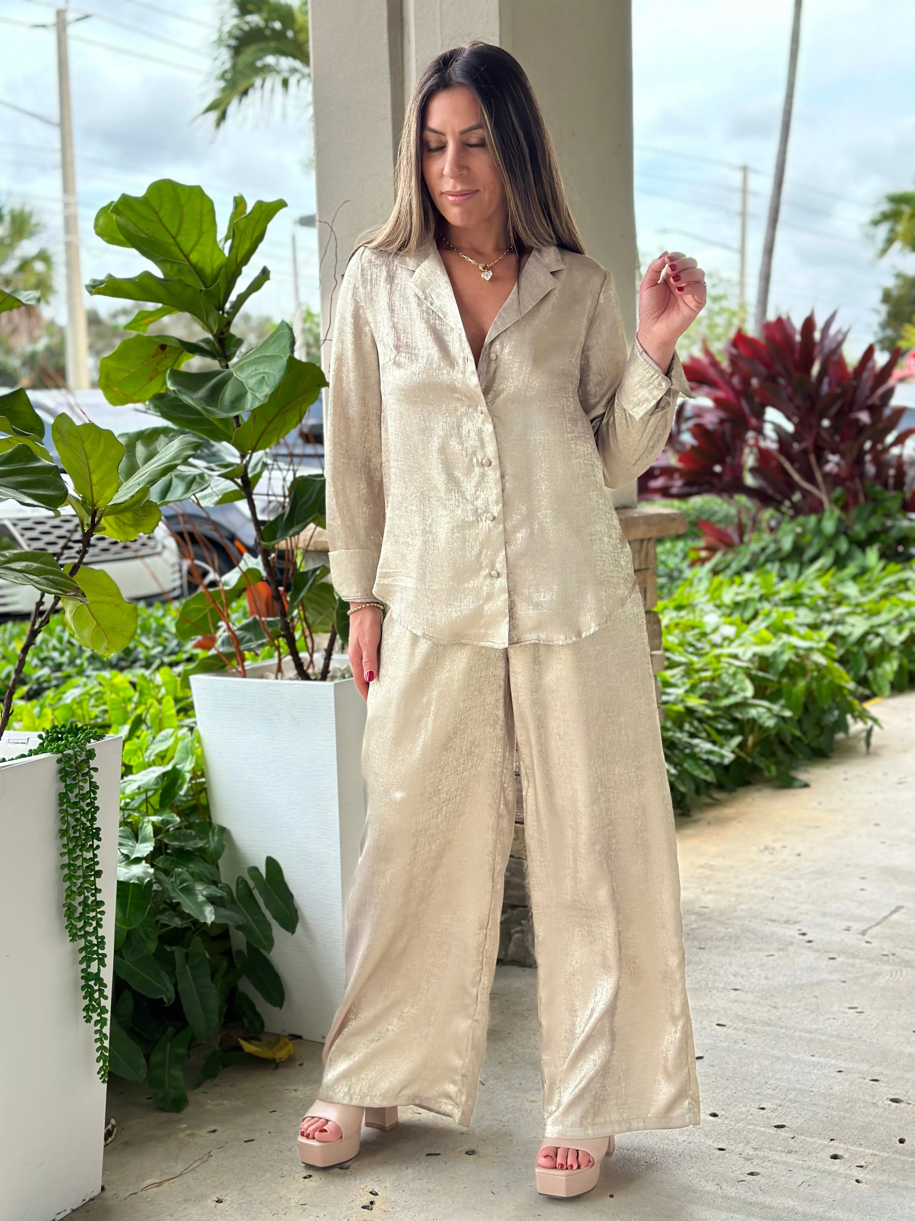 "Yess" Shimmer Long Sleeve Blouse And Pants Set